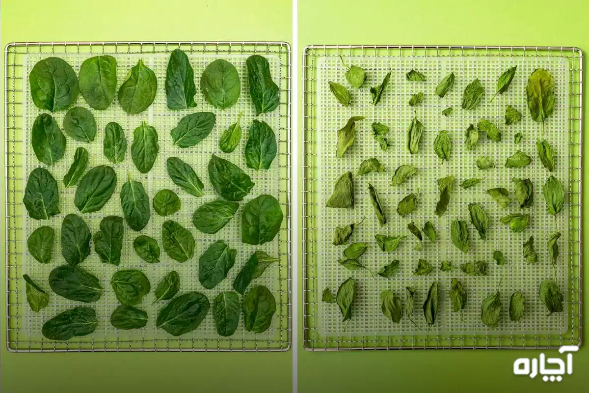 How to dry spinach