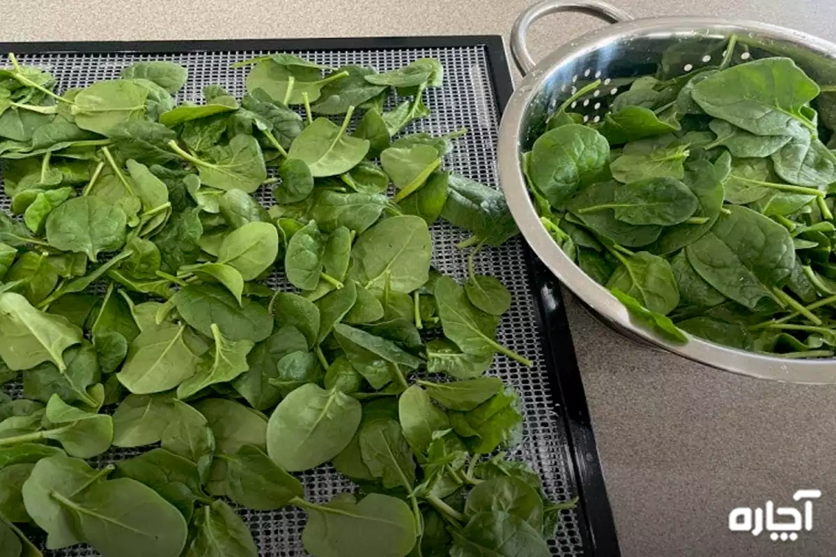 How to dry spinach