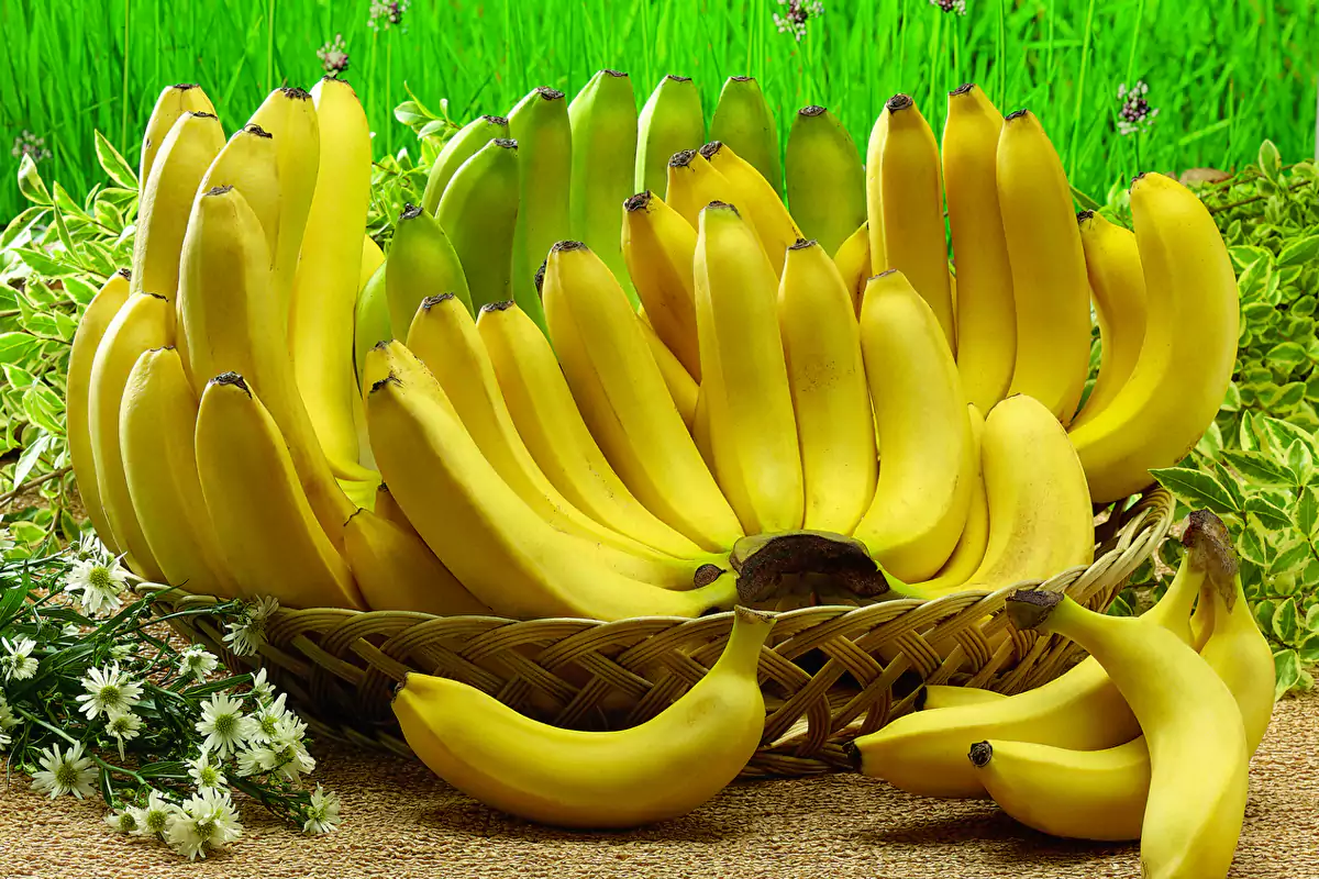 Banana storage