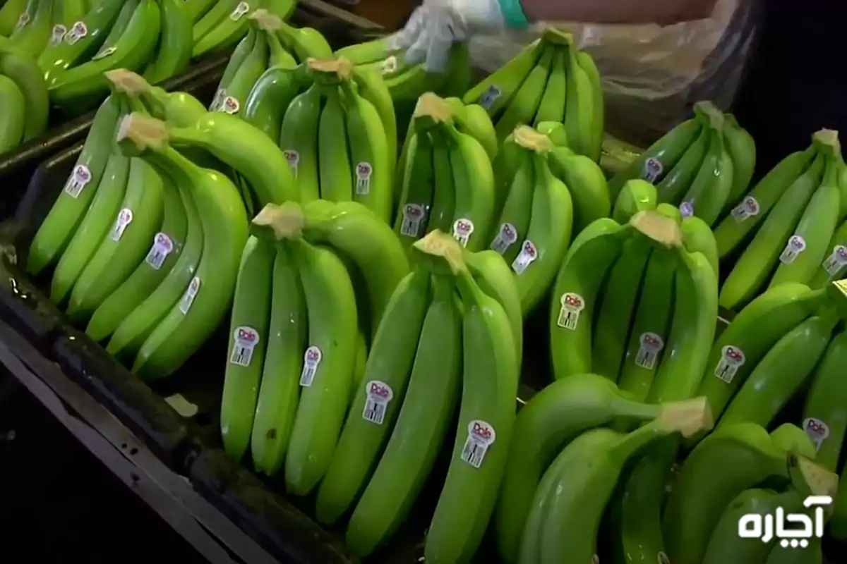How to store green bananas