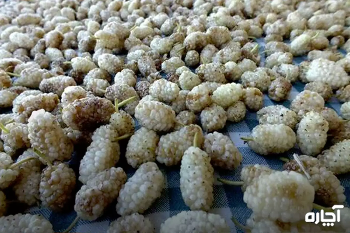 how to dry mulberry at home