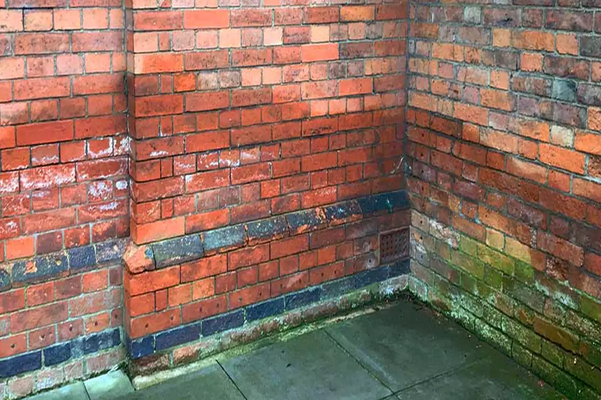 Fixing dampness of wall