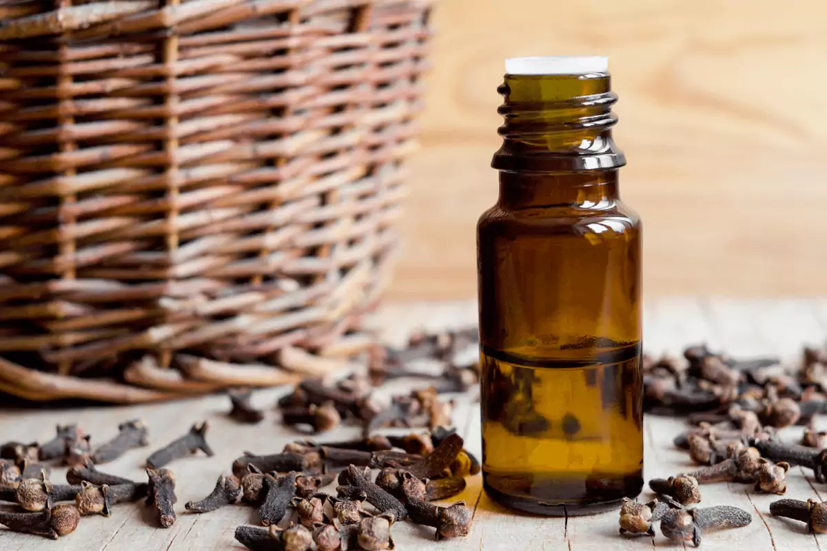 Properties of cloves for hair