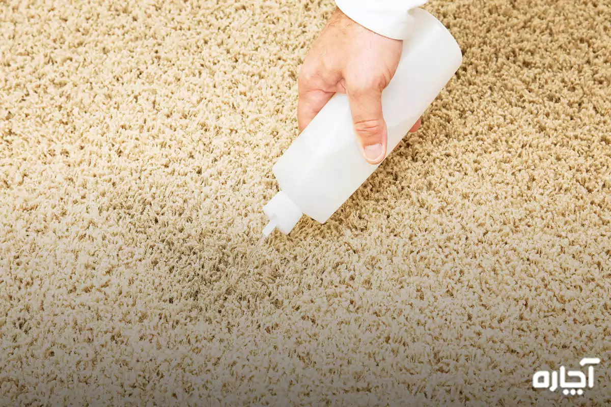 How to clean vomit from carpet