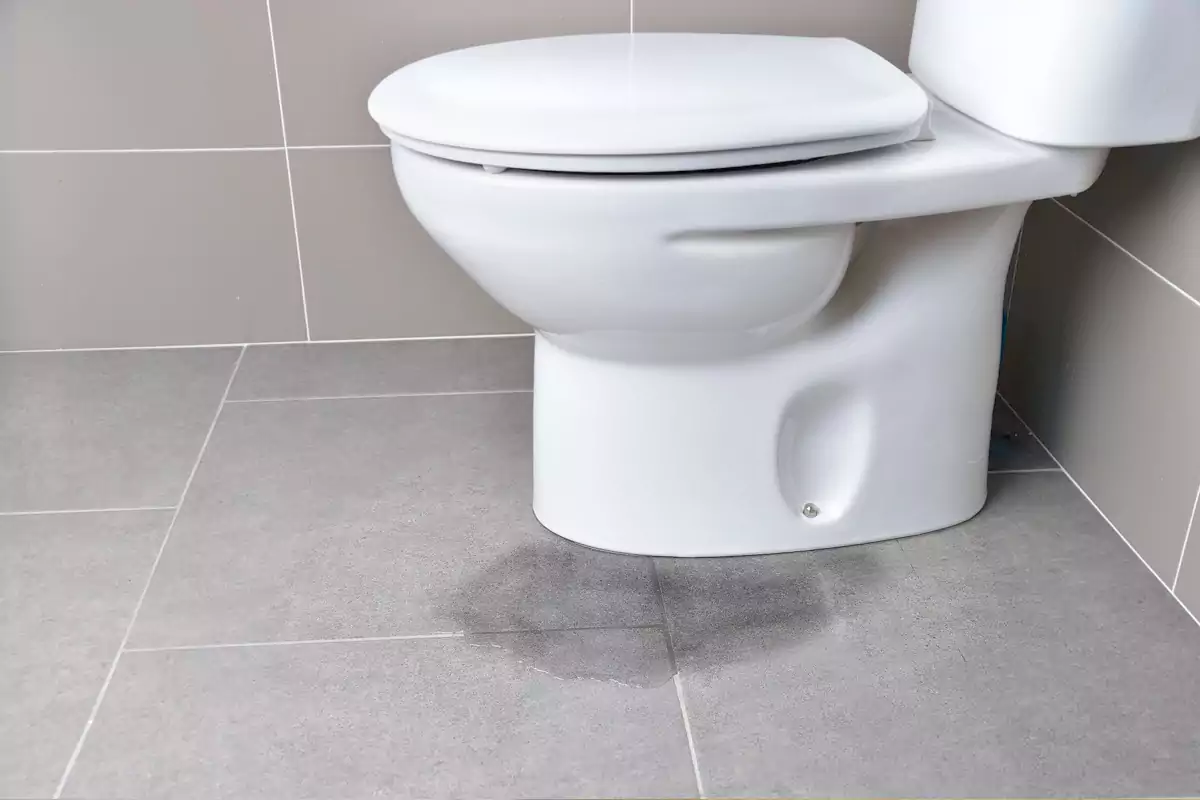 cause of water leakage from under toilet