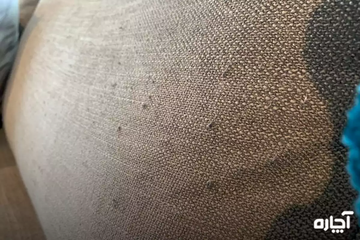 reason for sofa fabric be tuberous