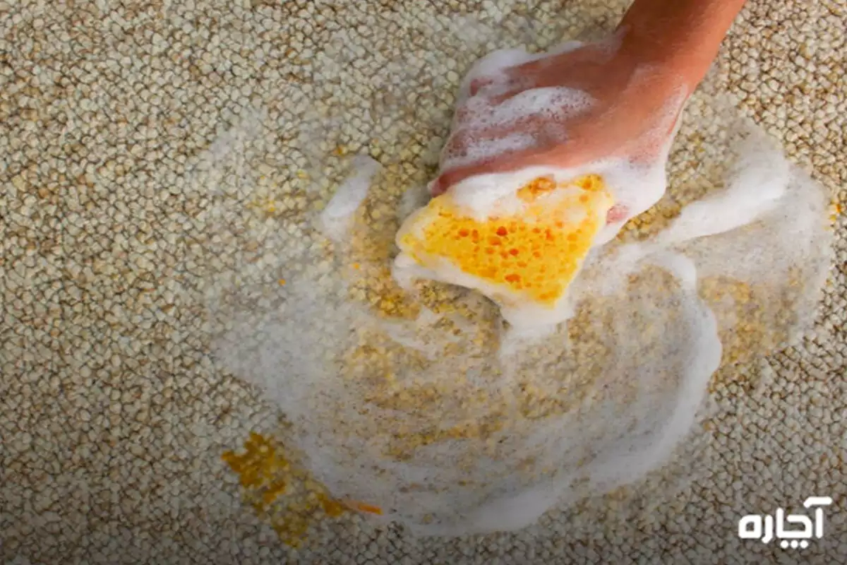 Removing carrot juice from carpet