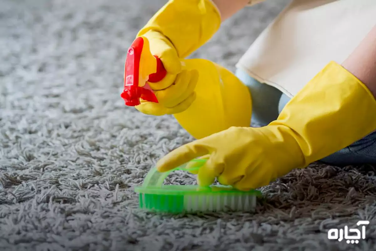 Removing carrot juice from carpet