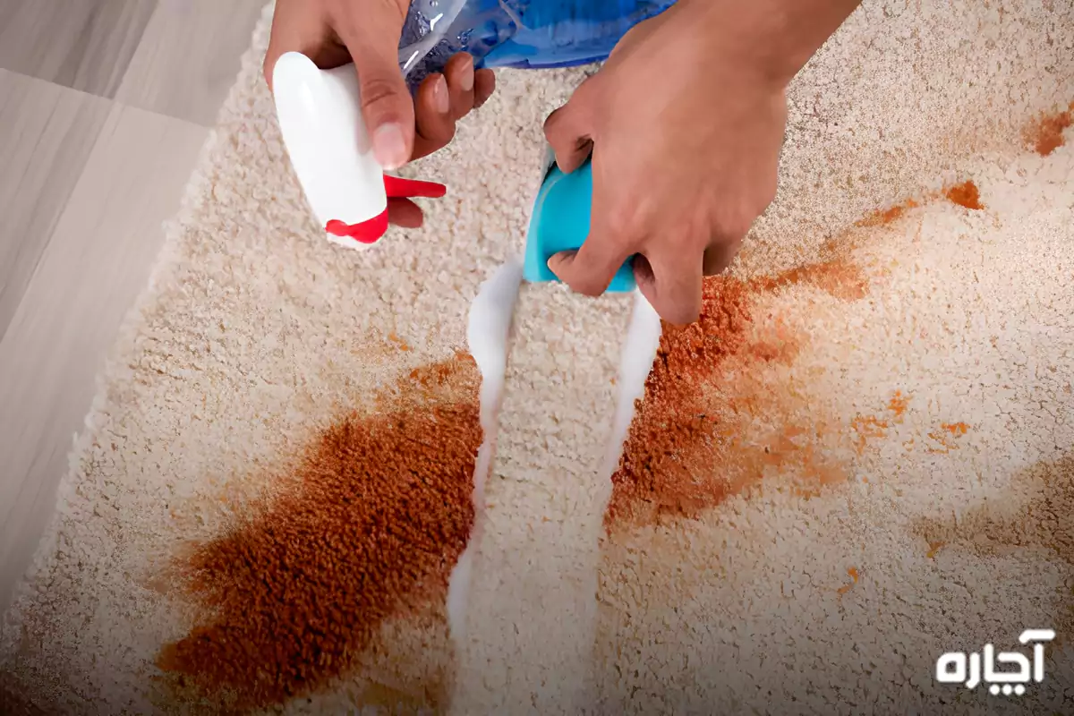 Removing ketchup from carpet