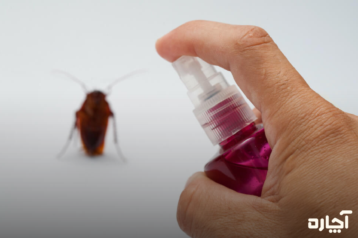 اسپری ترکیبی از روغن اکالیپتوس و نعناع برای از بین بردن سوسک فاضلاب