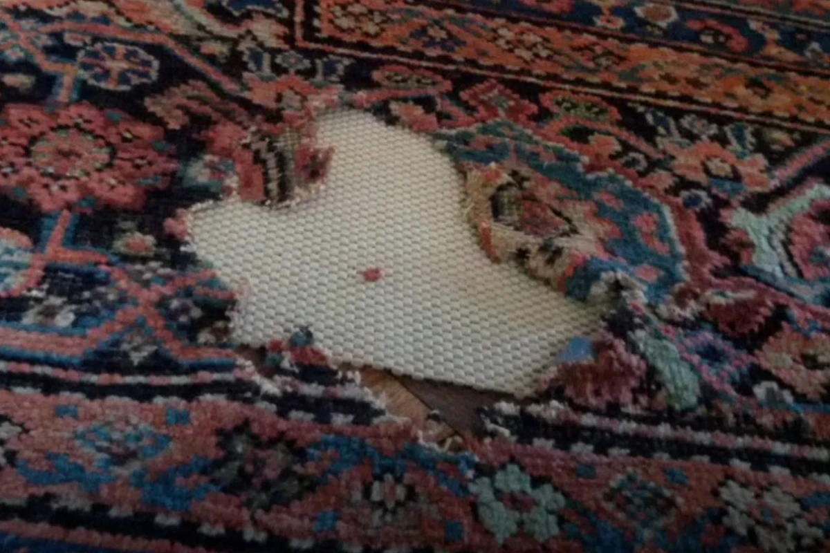 پوسیدگی فرش