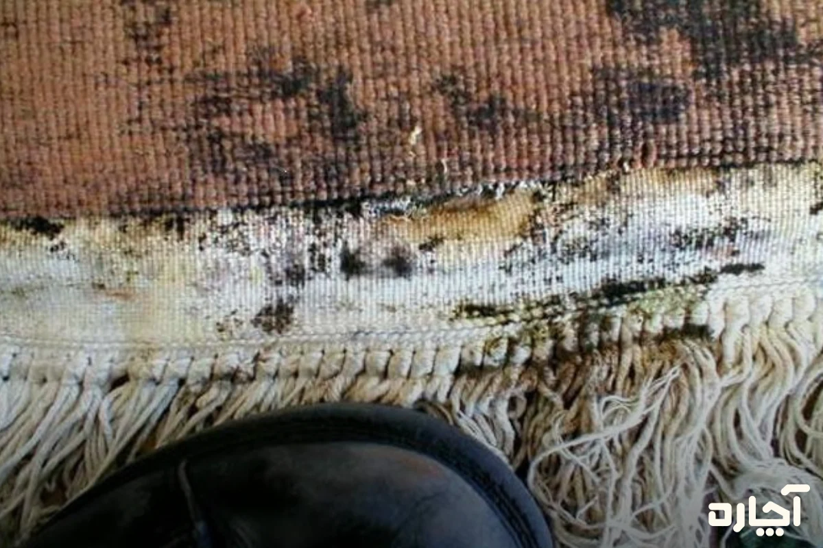 بوی نامطبوع از نشانههای پوسیدگی فرش