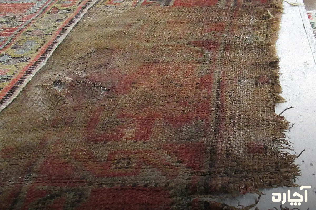 رطوبت و تماس با آب از دلایل پوسیدگی فرش