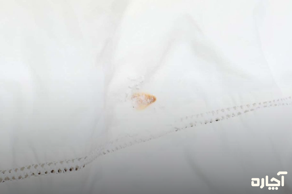 رفع زنگ زدگی پرده با جوش‌شیرین 