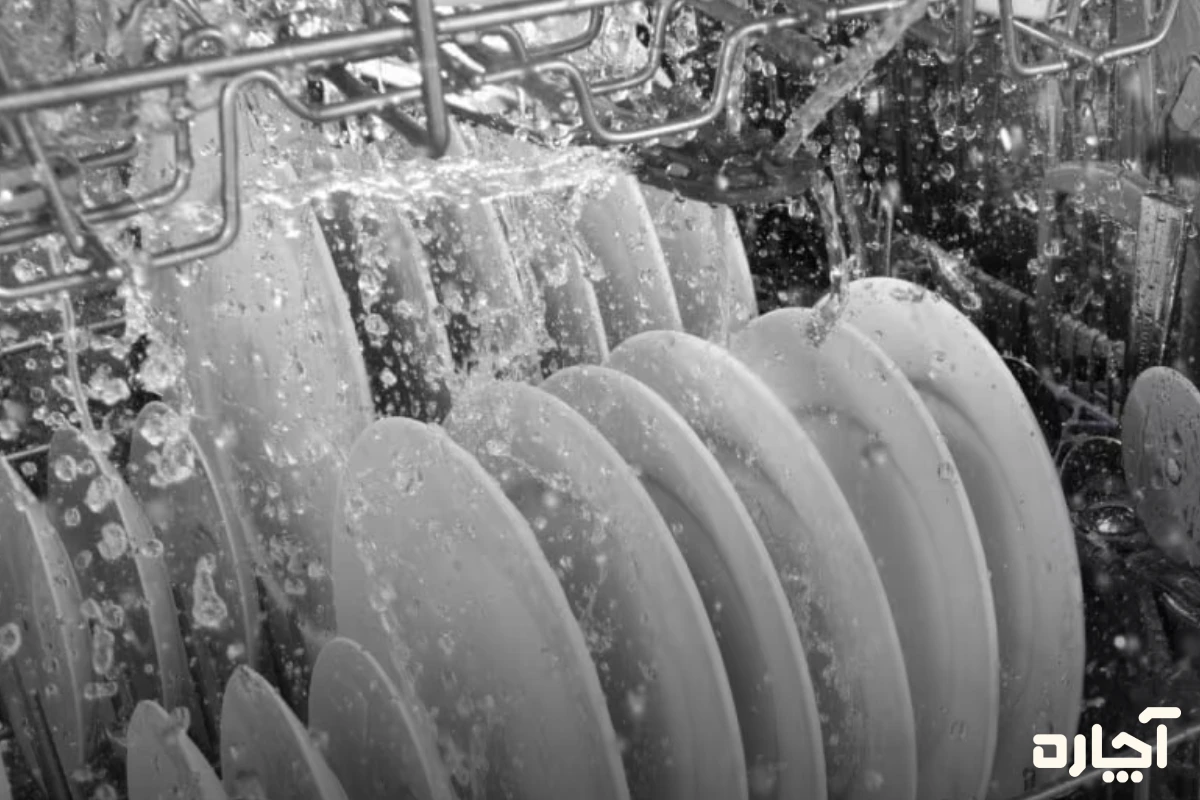 از بین بردن کپک ماشین ظرفشویی