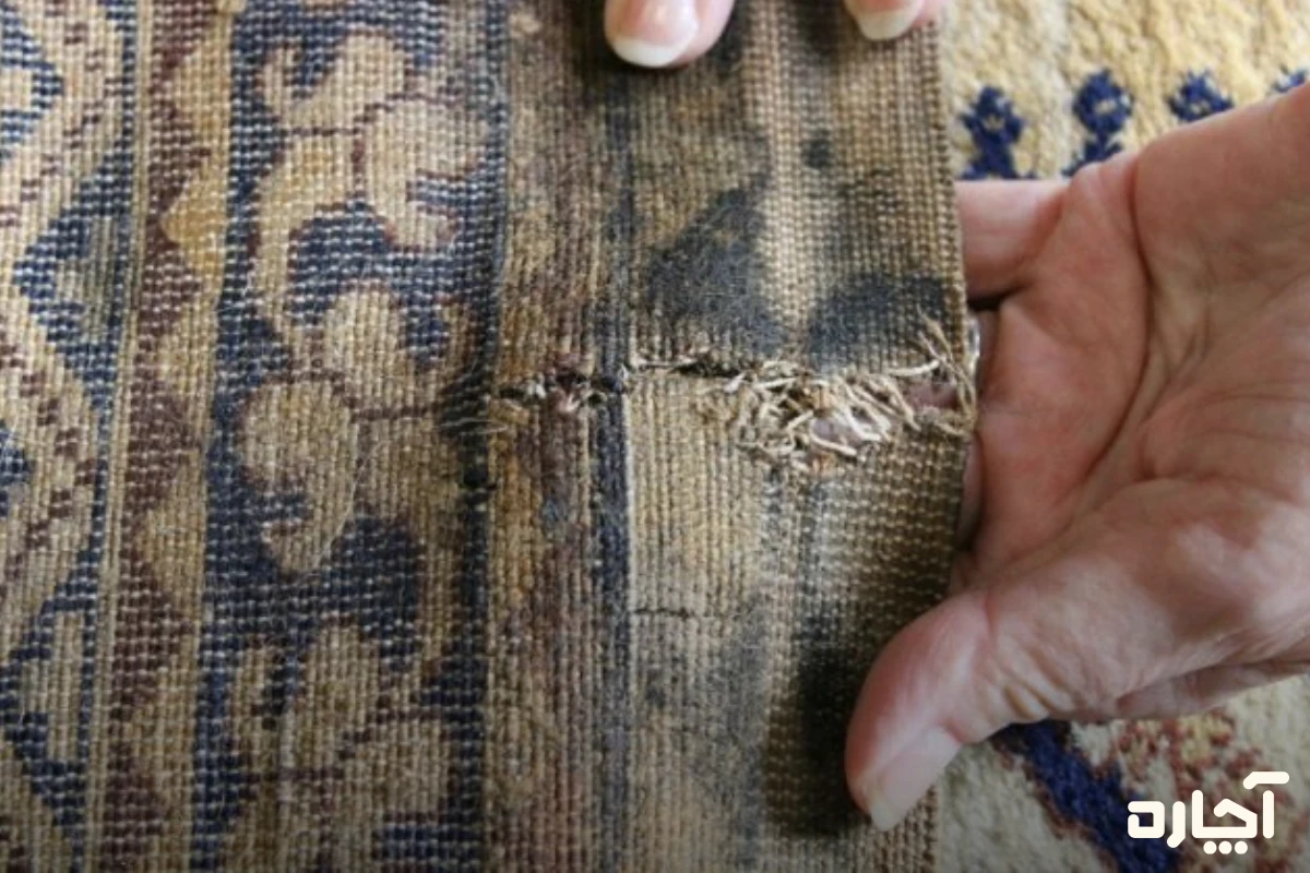 نحوه نگهداری از فرش ابریشمی با مهار رطوبت زمین