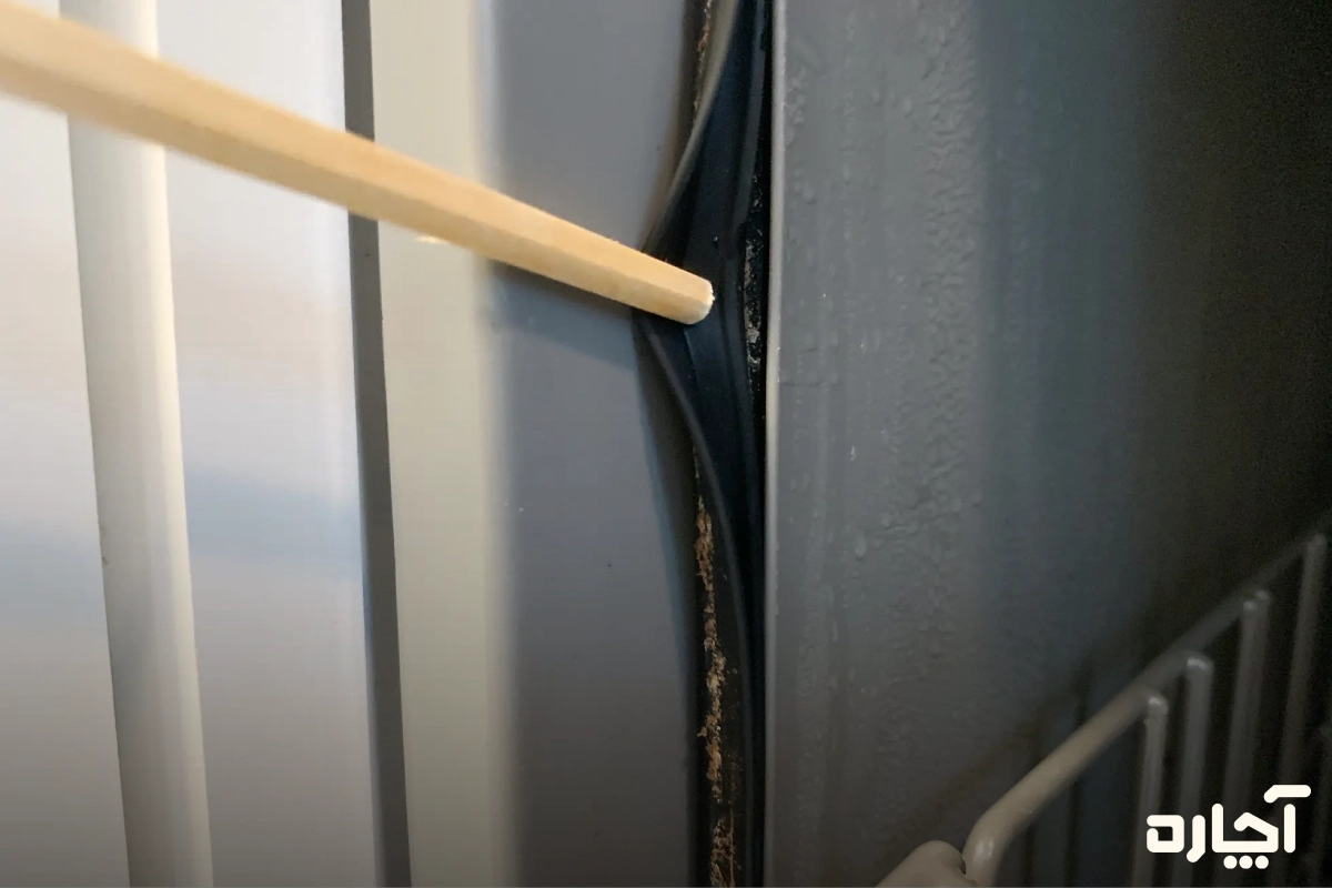 از بین بردن کپک ماشین ظرفشویی