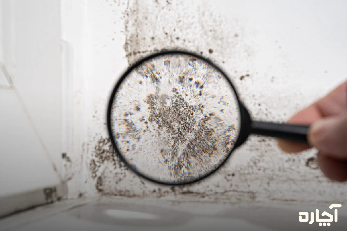 جلوگیری از کپک و قارچ حمام