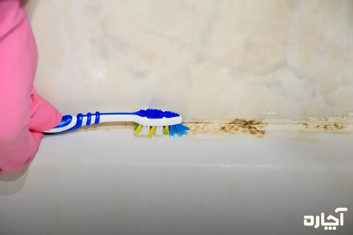 محلول آب و وایتکس برای رفع کپک و قارچ حمام