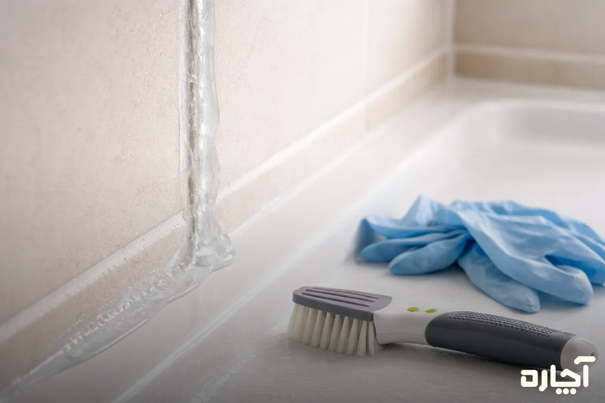استفاده از برس مناسب برای رفع کپک و قارچ سرامیک و کاشی