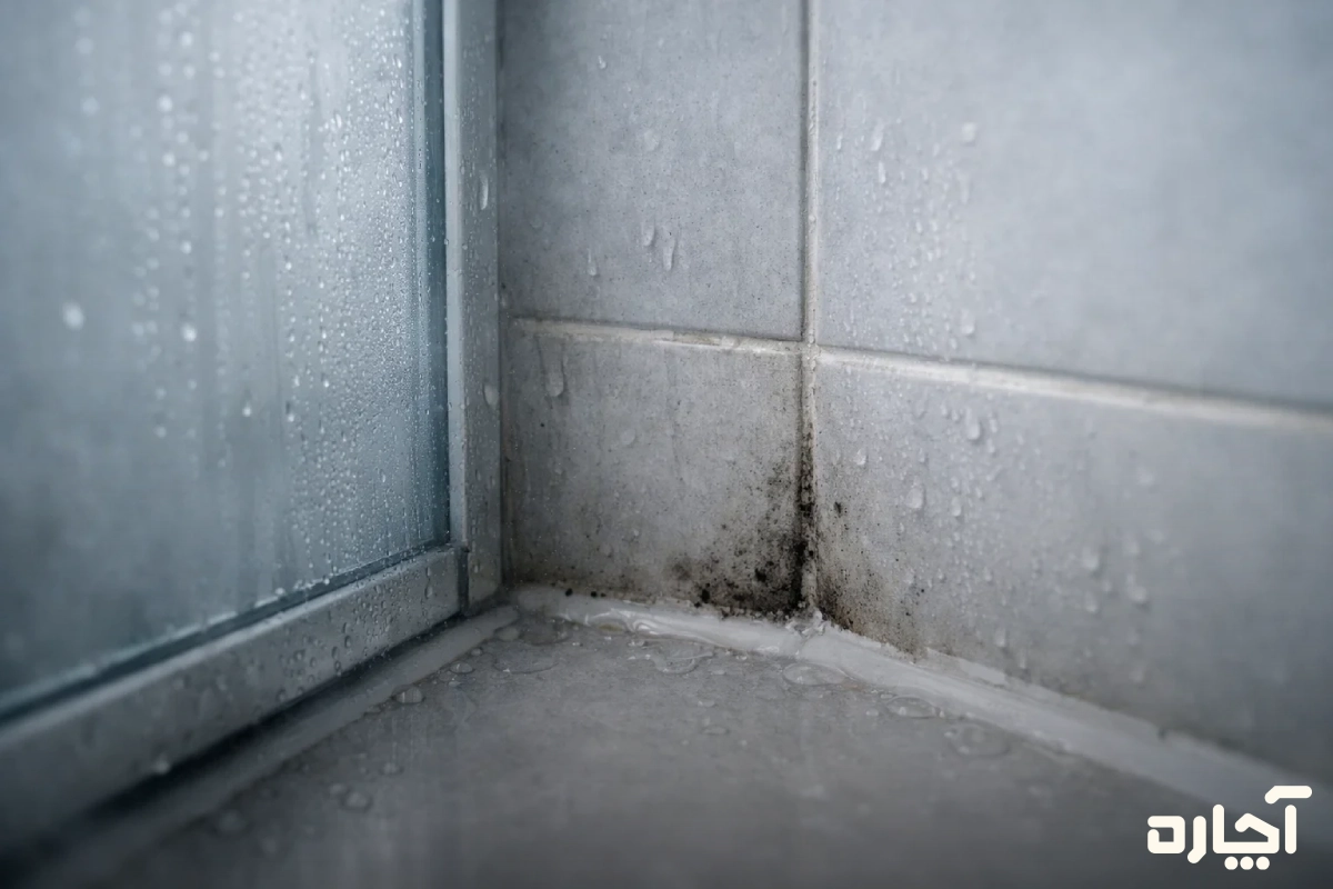 استفاده از پوشش ضد قارچ