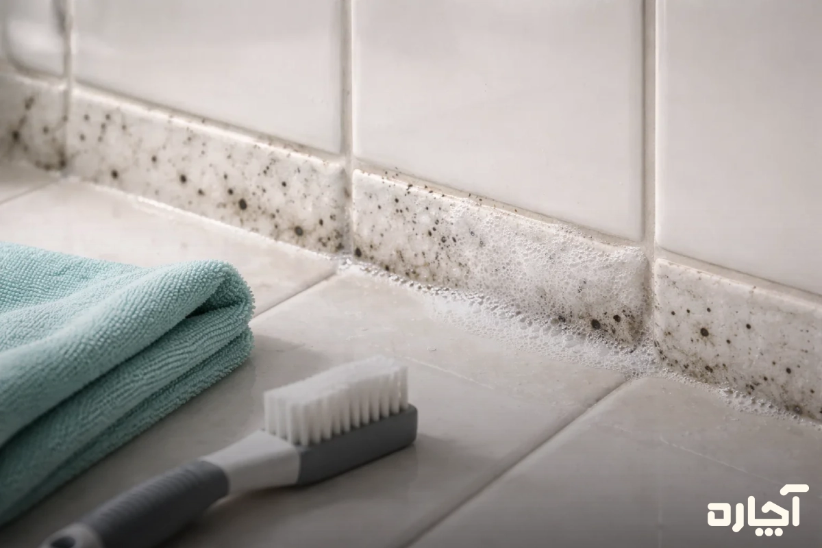 استفاده از سرکه رفع کپک و قارچ حمام