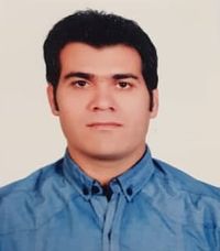 همت نجفی