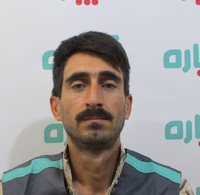 مرتضی سبزی علی آبادی
