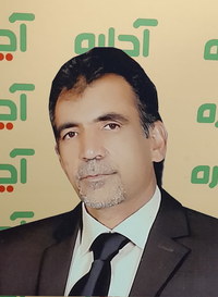 محمود شکوهی فر