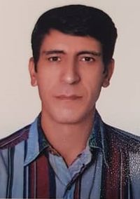 مجتبی جعفری