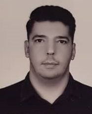 محمدرضا برقی