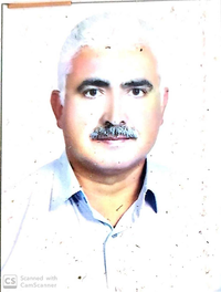 علیرضا مطیعی