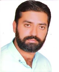 حسن نبی
