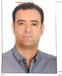 علی حسنی