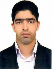 محمود نقیبی