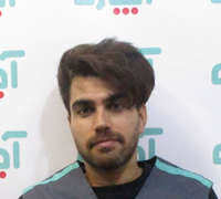 رامین علی پور