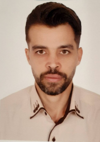 حمید محمدی