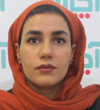 هتل(گربه ) کدوحلوایی (محدوده فاطمی)