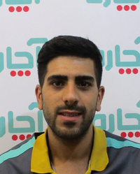طه ربیعی